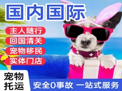 怀化芷江国际宠物托运 【国